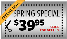 special deal spring special click for details