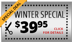 special deal winter special click for details